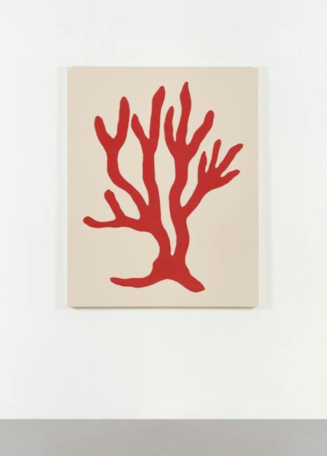 Adelaide Cioni - Corallo
