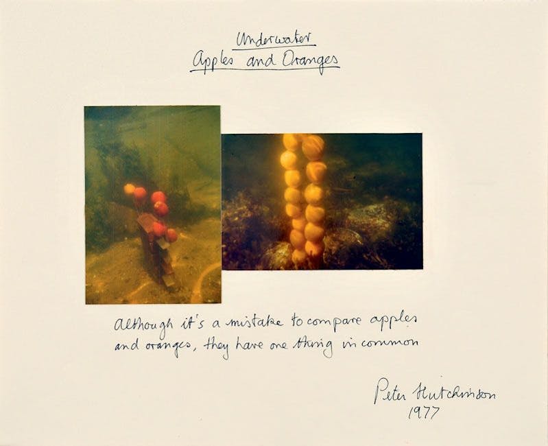 Peter Hutchinson - Underwater apples and oranges Peter Hutchinson - Underwater apples and oranges