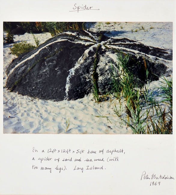 Peter Hutchinson - Spider