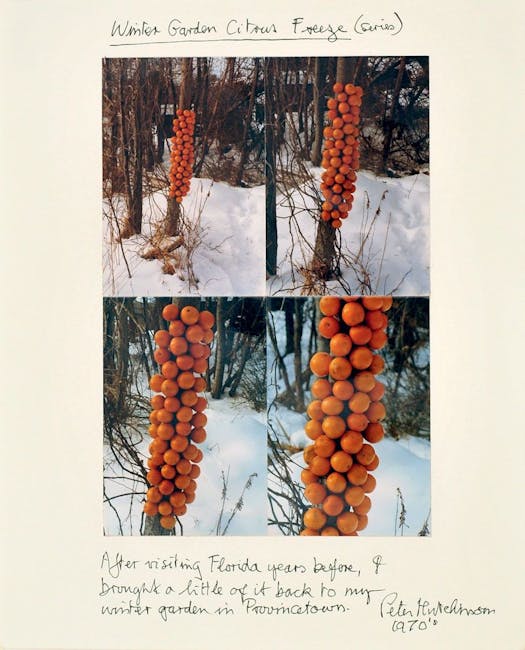Peter Hutchinson - Winter garden and citrus freeze (series) Peter Hutchinson - Winter garden and citrus freeze (series)