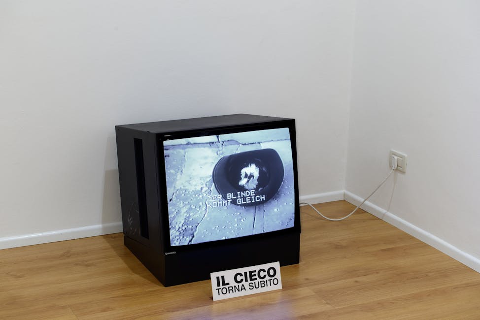 Franco Vaccari - Esposizione in tempo reale num.6, Il Mendicante Elettronico
