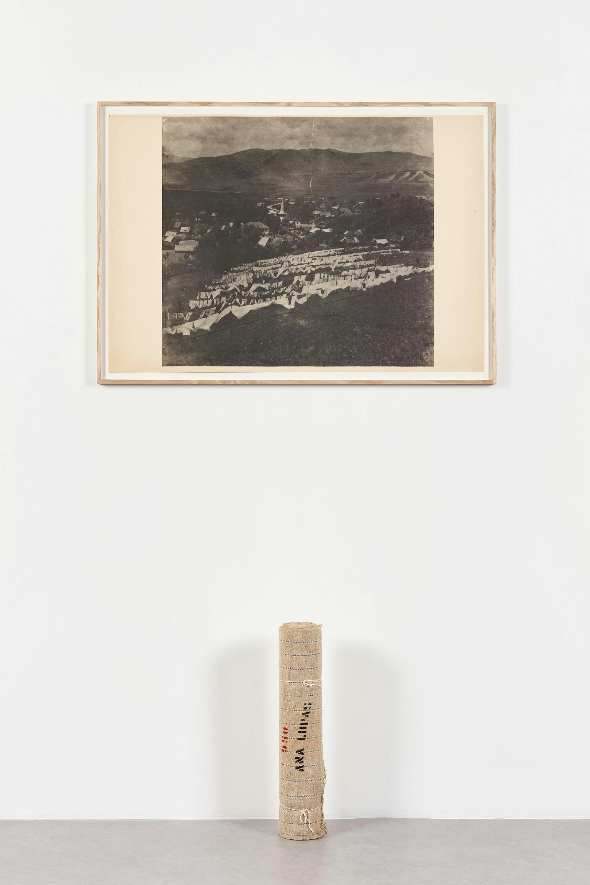 Ana Lupas - Humid Installation
