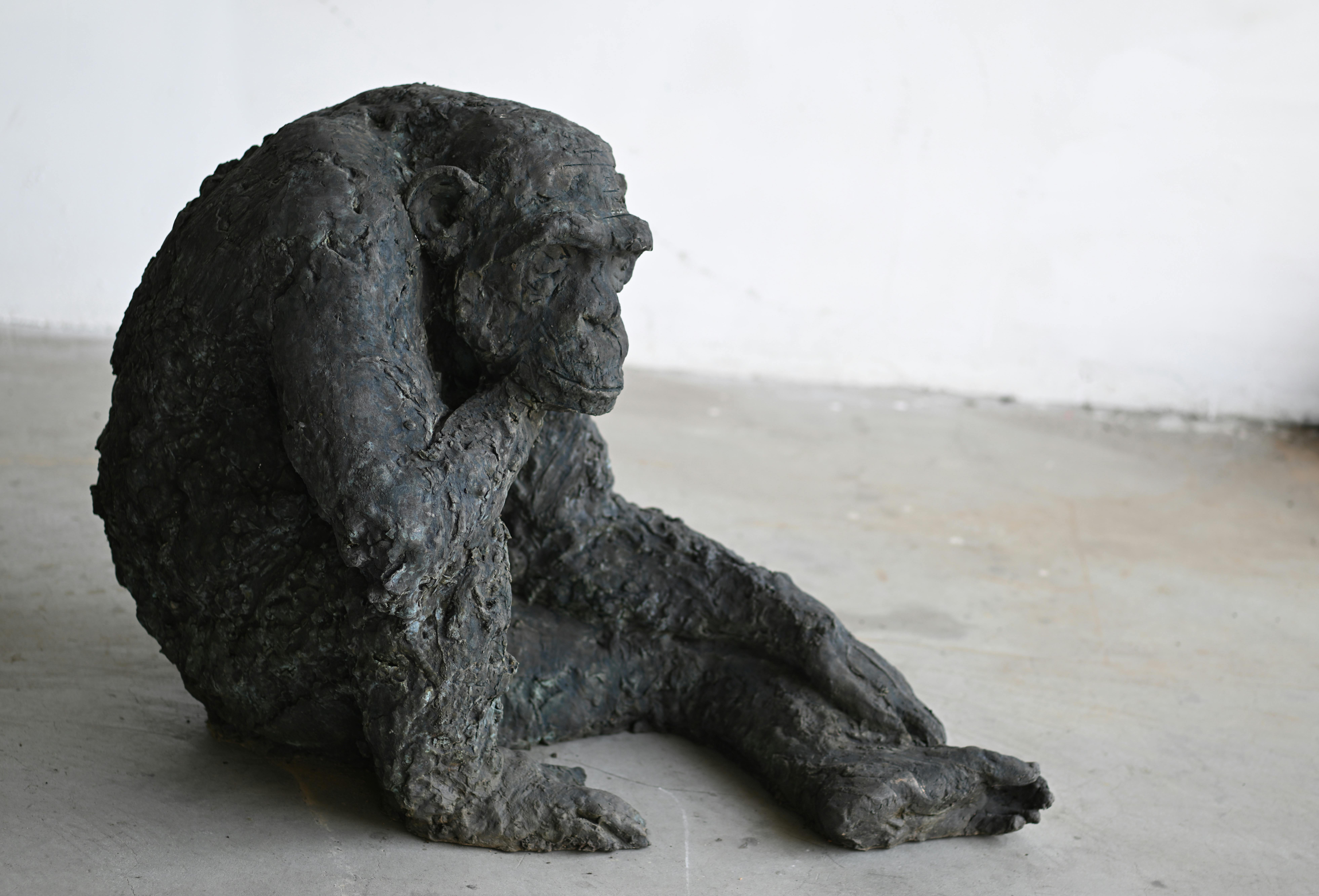 Davide Rivalta - Chimpanzee