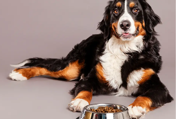 Case study PARTNER-SHOP-PL