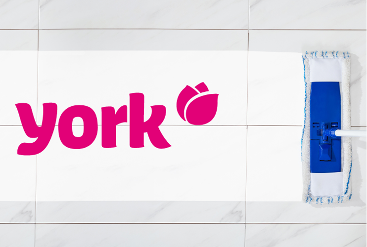 Caser study Traffic Trends - york