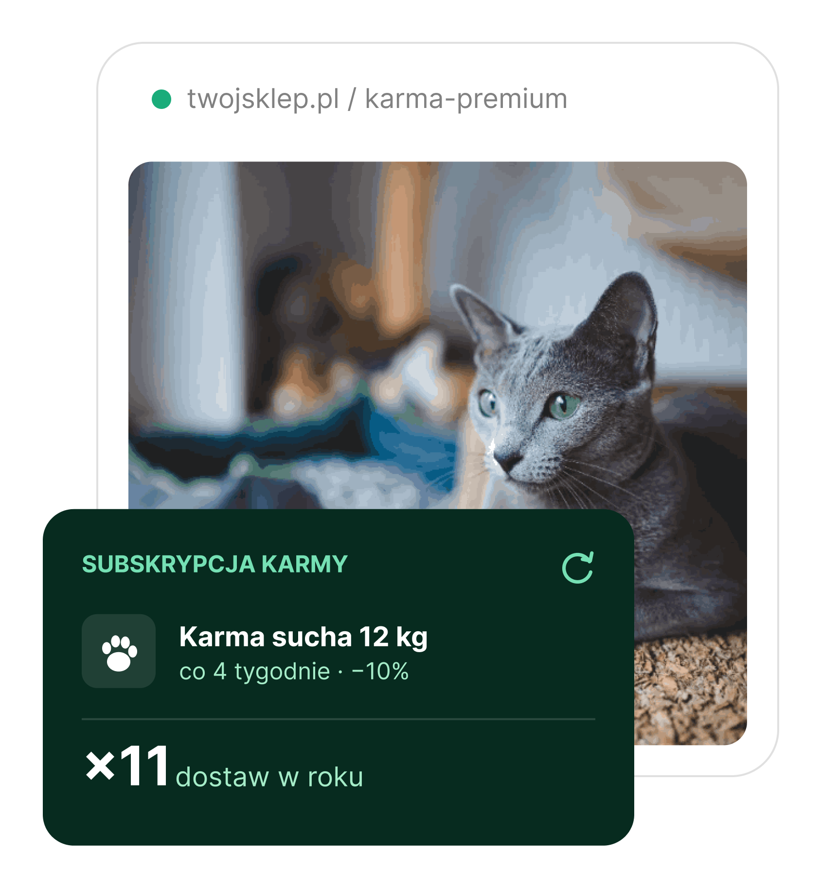 Sklep zoologiczny z subskrypcją karmy – IdoSell Subskrypcja karmy w sklepie zoologicznym na IdoSell – karma sucha 12 kg co 4 tygodnie, 11 dostaw w roku