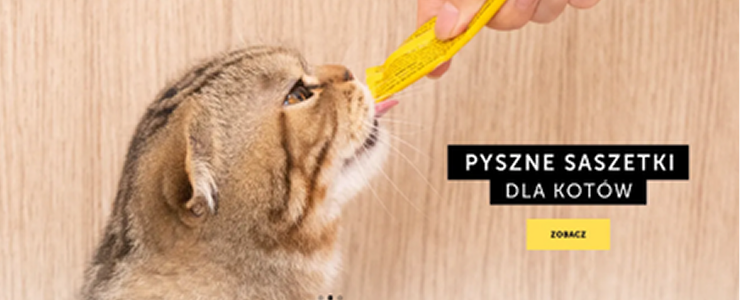 Tuzwierzaki.pl - case study