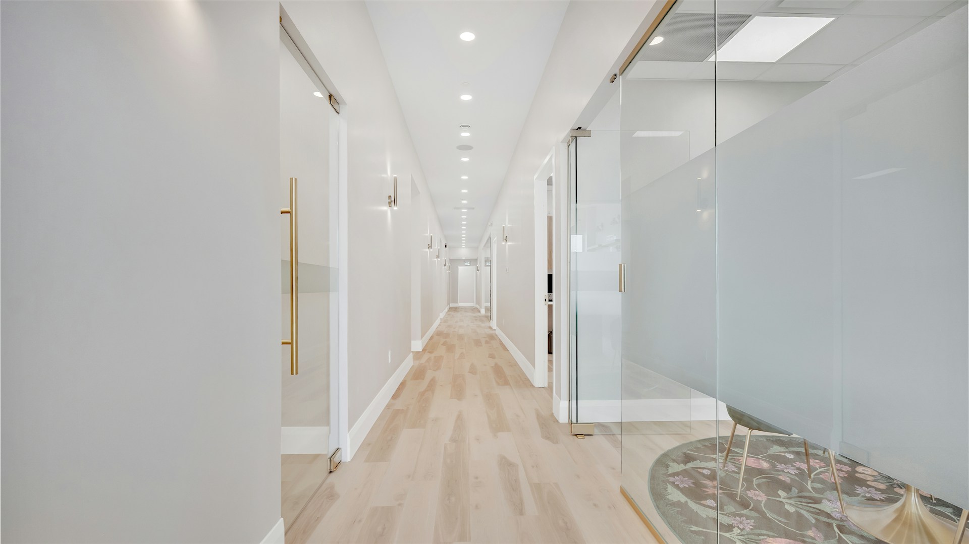 skincare products lined up on glass shelves