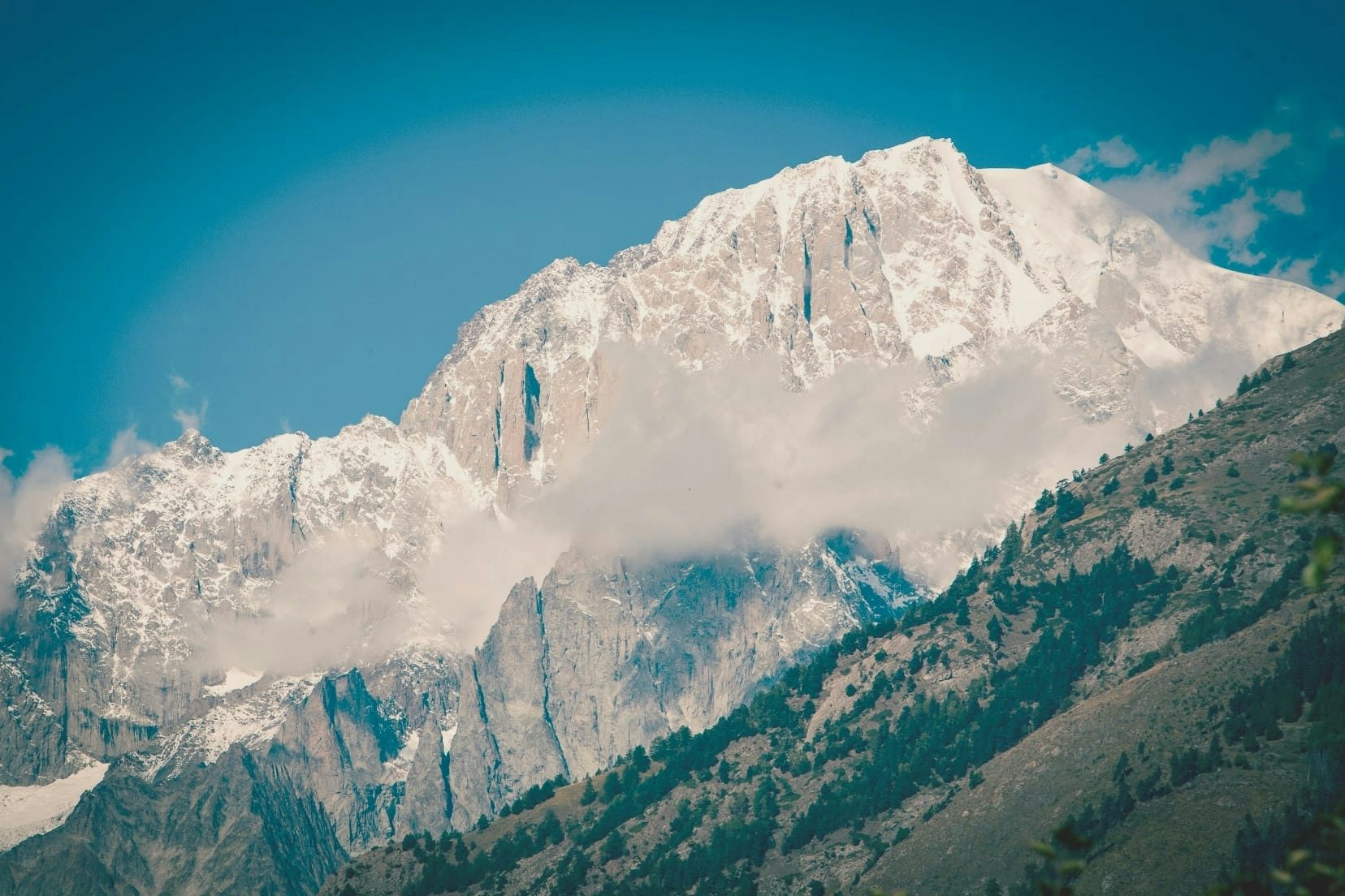 From the basin of Aosta to the lake of Annecy, the Savoy possessions embraced opposite slopes and different climates: valleys scorched by the foehn wind, forests of damp shade, white glaciers. It was in this alternation that the cider apple trees found their paradise: warm days for sugary ripening, glacial nights to maintain freshness and fragrance.