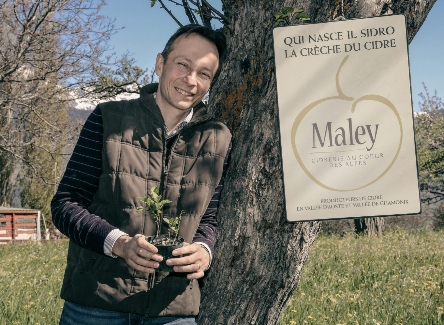 The project is the brainchild of Gianluca Telloli, now head of Research and Selection for Proposta Vini, who after years of research into Alpine varieties of cider apples and pears involved Aurélie and Philippe Bernot in the production. Together, they create a cider that expresses the soul of high-altitude apple and pear trees.