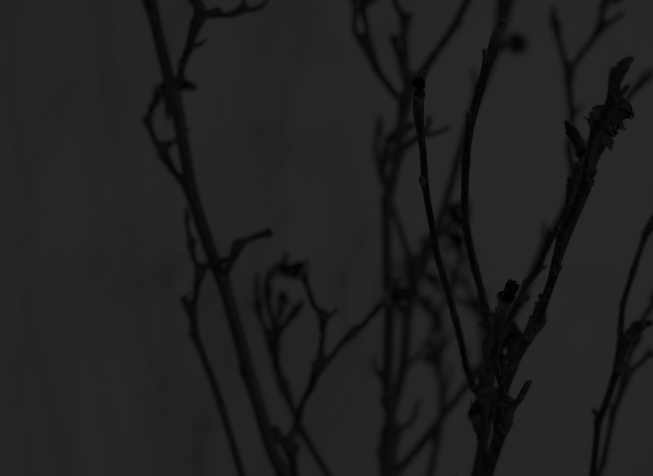 Background media