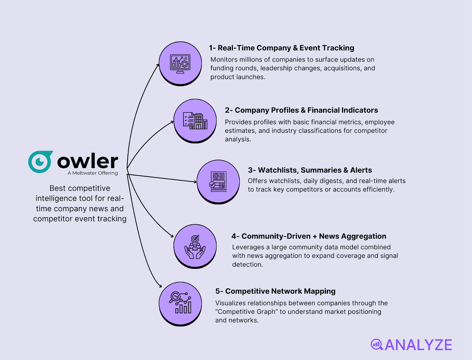 customer and competitor insights