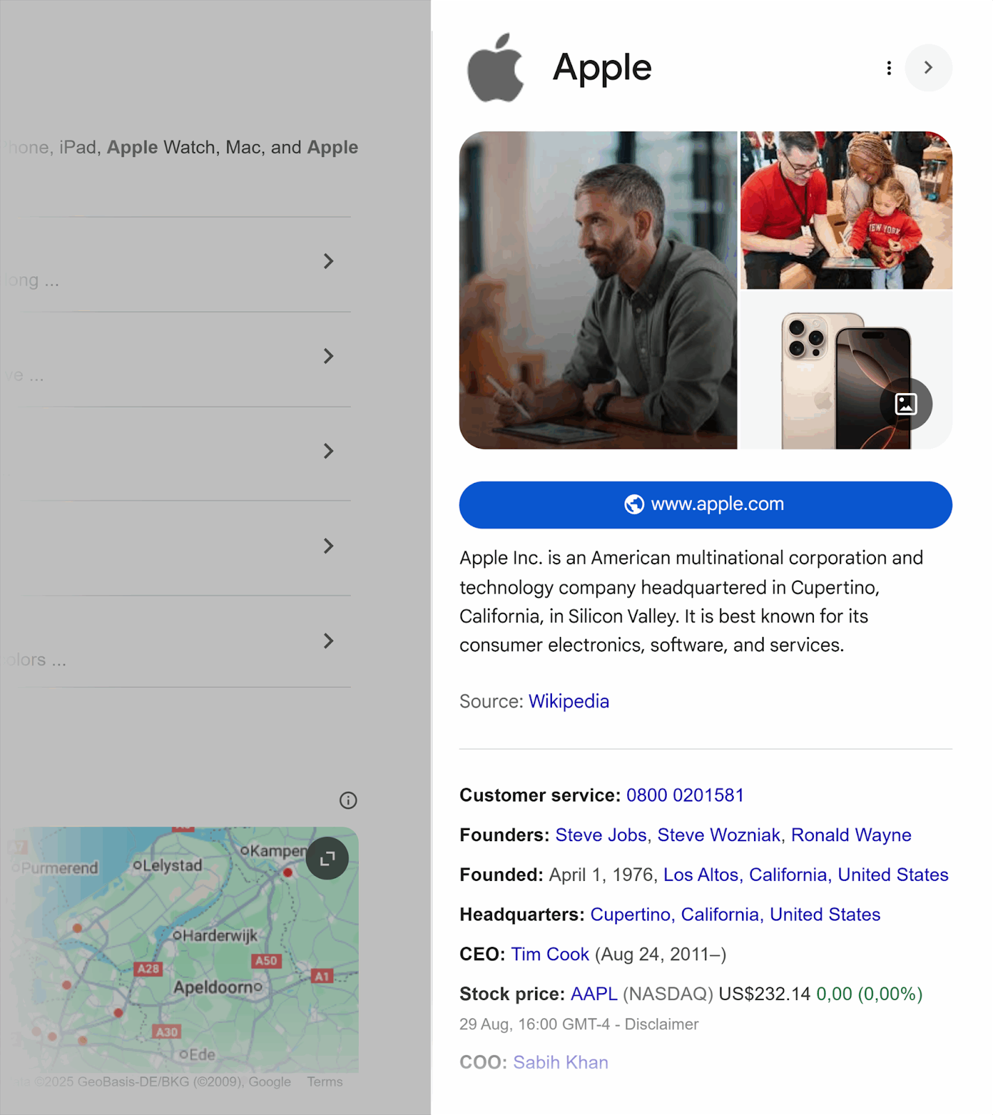 [Screenshot: Knowledge Panel for a company or concept showing key attributes and related entities]