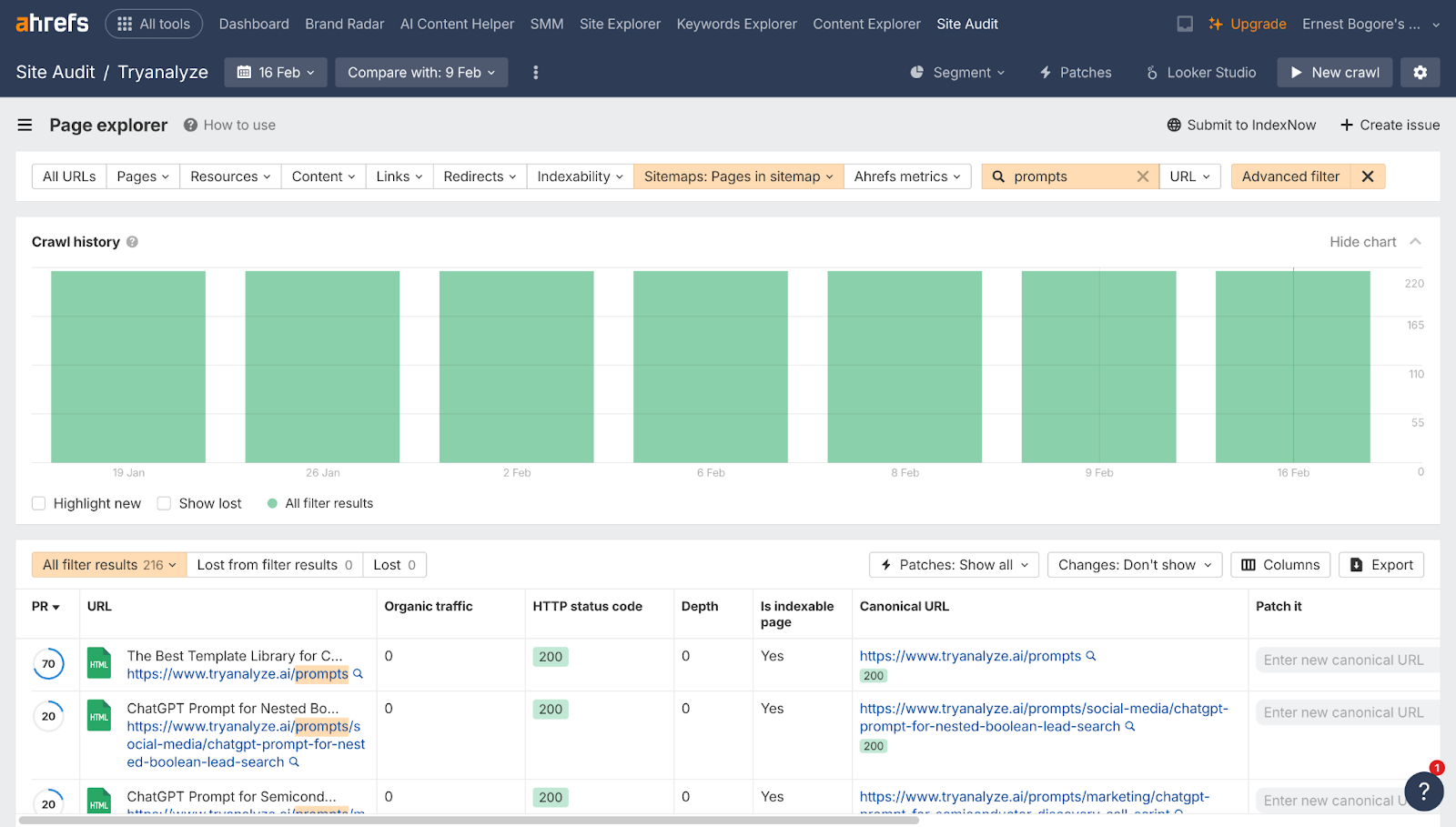 Screenshot: Site audit URL table filtered to show only URLs containing query parameters, with faceted parameter patterns visible