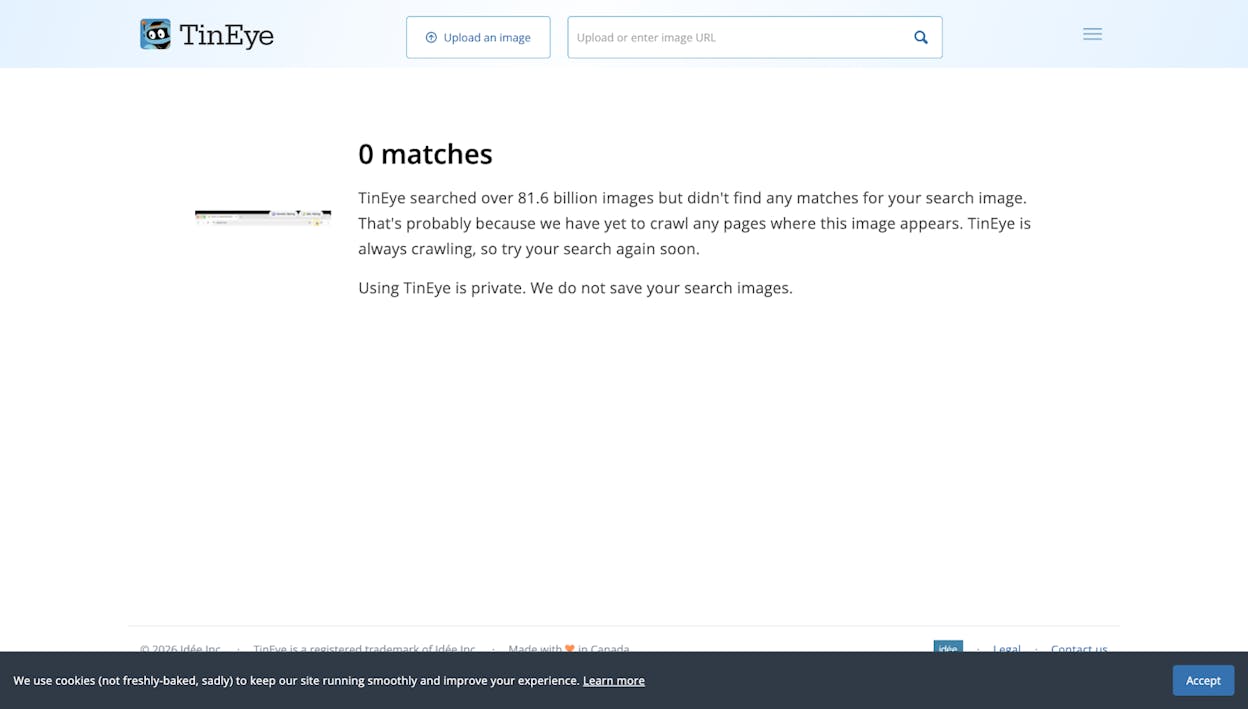 Screenshot: Google reverse image search results showing multiple sites using the same image