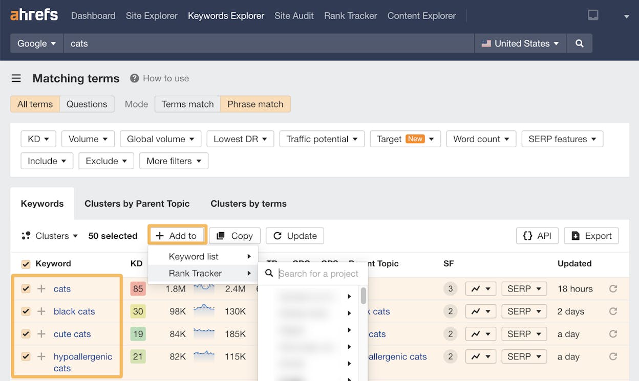 Screenshot: Creating an Ahrefs Portfolio with featured snippet URLs