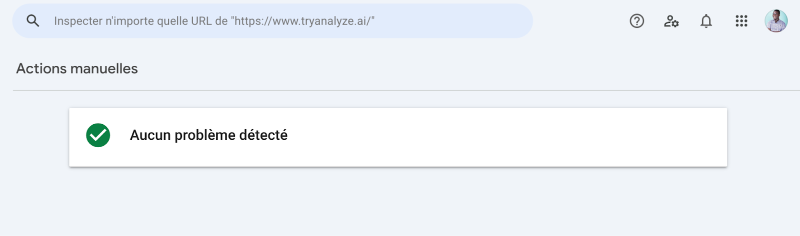 Screenshot: Google Search Console showing the manual actions section with no manual actions detected &mdash; this is what most sites should see