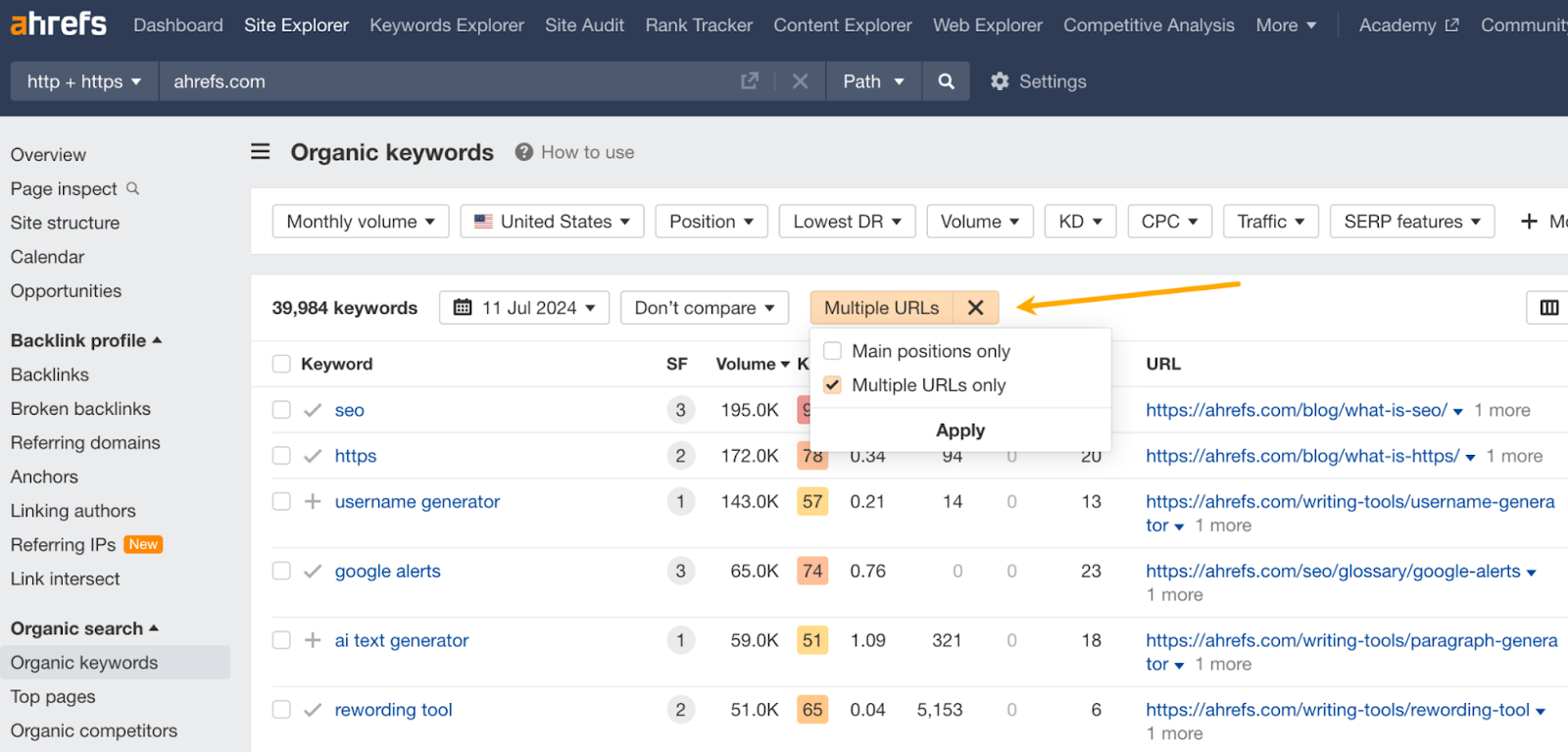 [Screenshot: Organic keywords report filtered for &ldquo;Multiple URLs only&rdquo; showing two pages ranking for the same keyword]