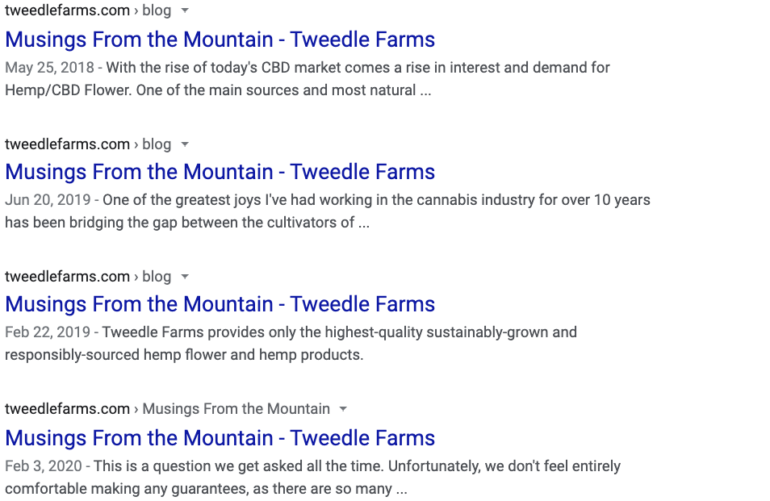 [Screenshot: Google showing two pages from the same site with identical title tags]