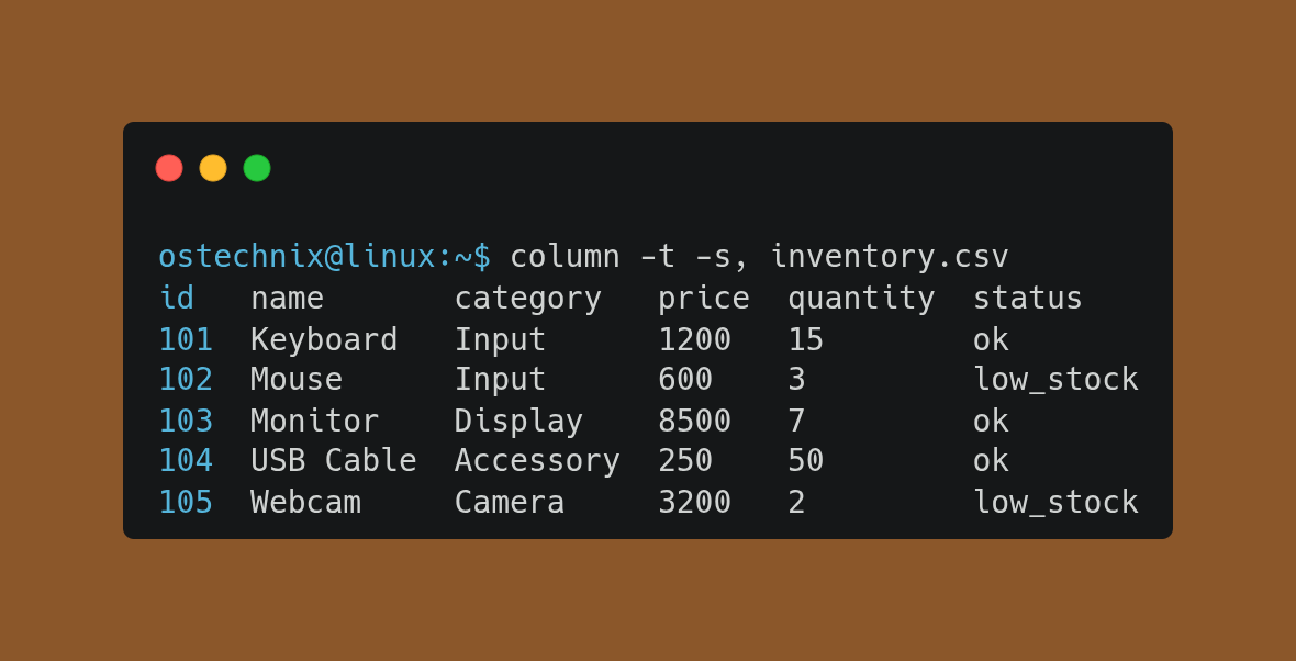 [Screenshot: The CSV file with URLs and the terminal output showing status codes]