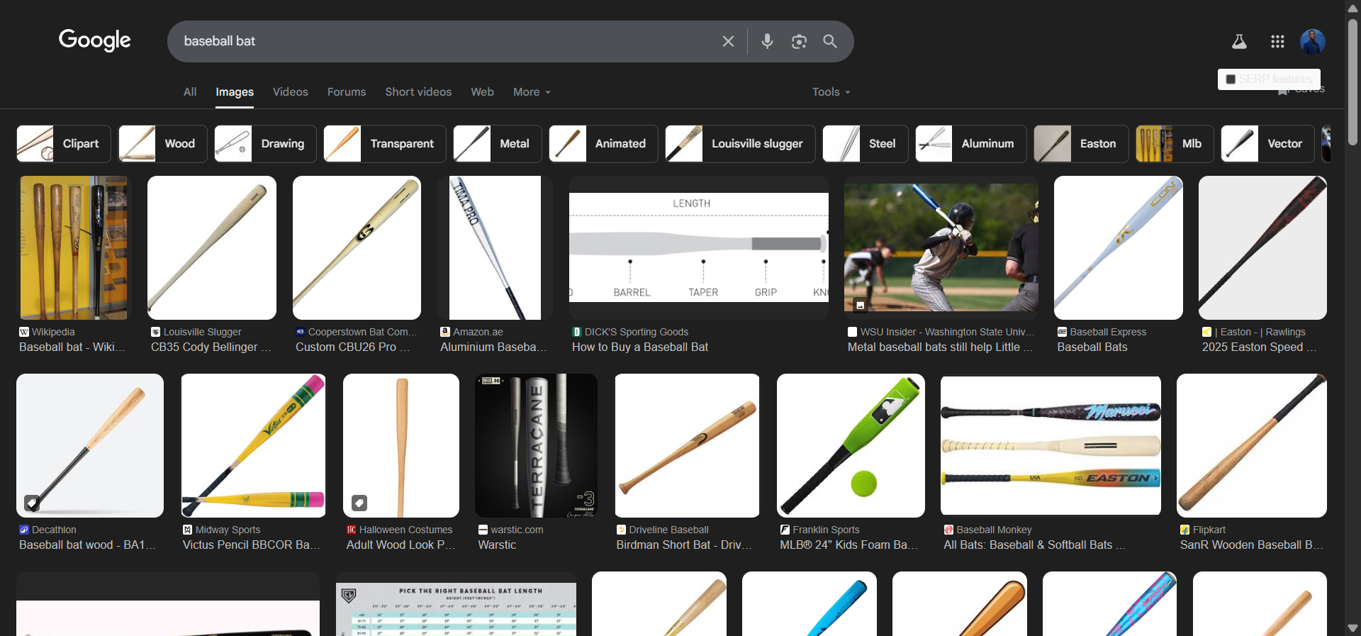 [Screenshot: Google Images filter tabs showing entity associations for a broad topic query]
