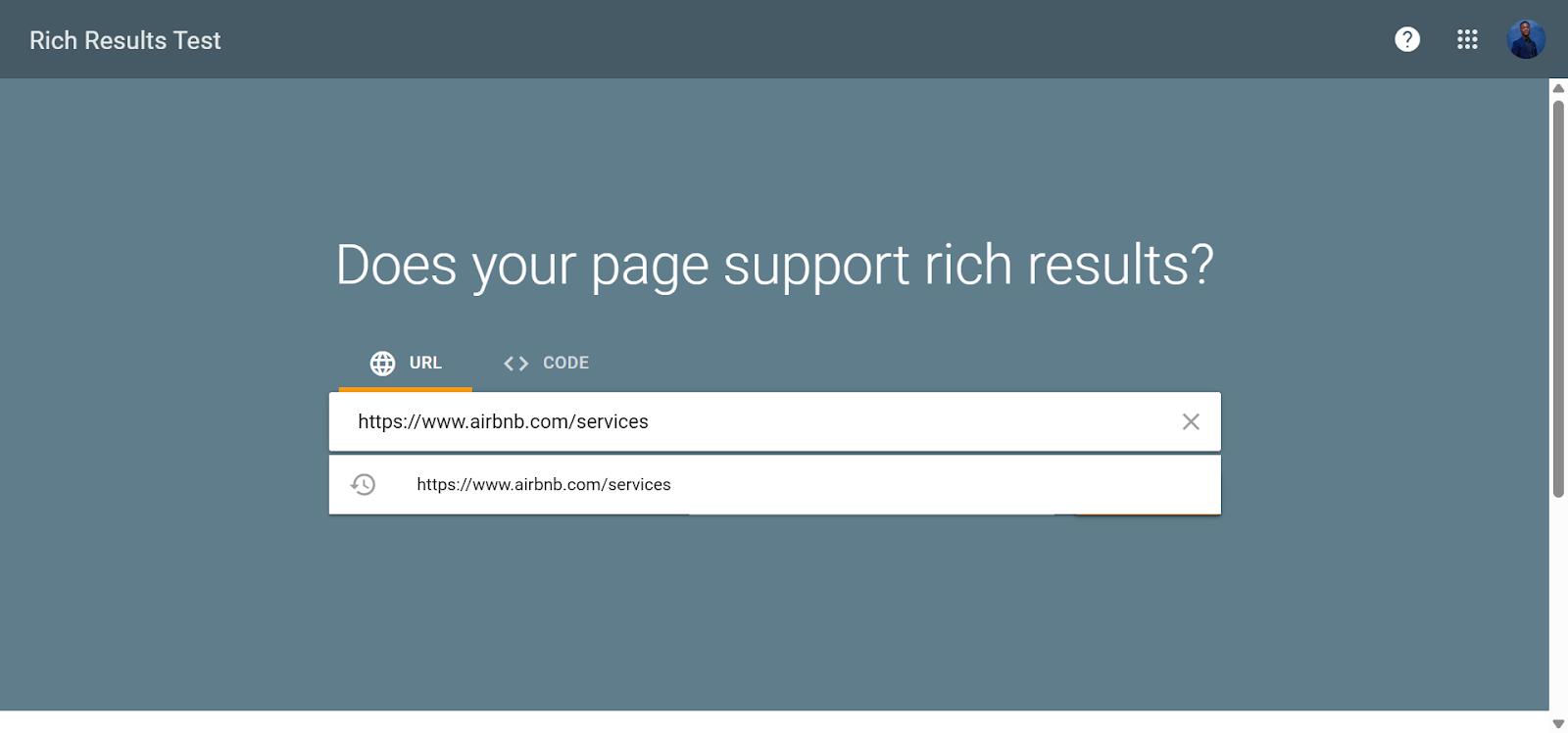 [Screenshot: Google Rich Results Test with a URL entered in the URL field]
