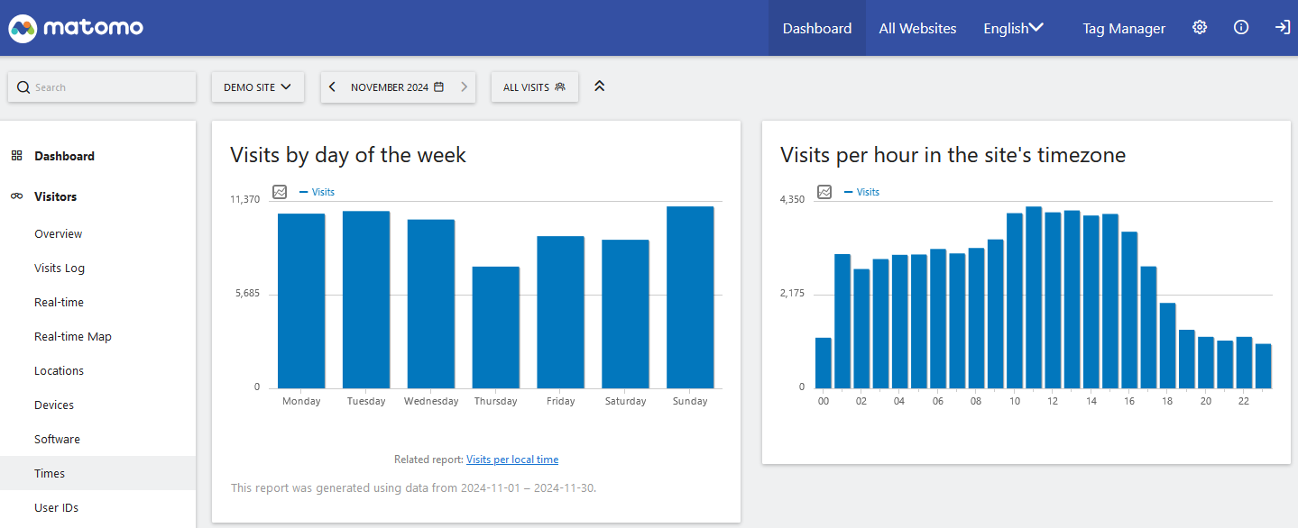 [Screenshot: Matomo dashboard showing visitors overview with real-time visitor count, visit trends, traffic sources, and a world map showing visitor locations]