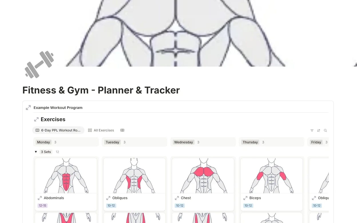 [Screenshot of Muscle & Strength&rsquo;s workout database showing its grid-based category layout]