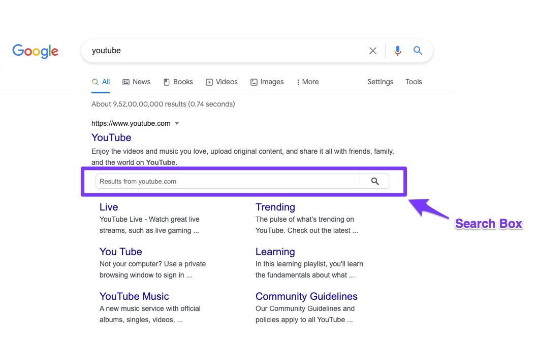 [Screenshot: Archived example of a sitelinks search box appearing beneath a branded Google search result, if available]