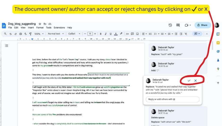 [Screenshot: A Google Doc with comments from a reviewer highlighting a factual error, a suggestion for a better example, and a note about a missing subtopic]