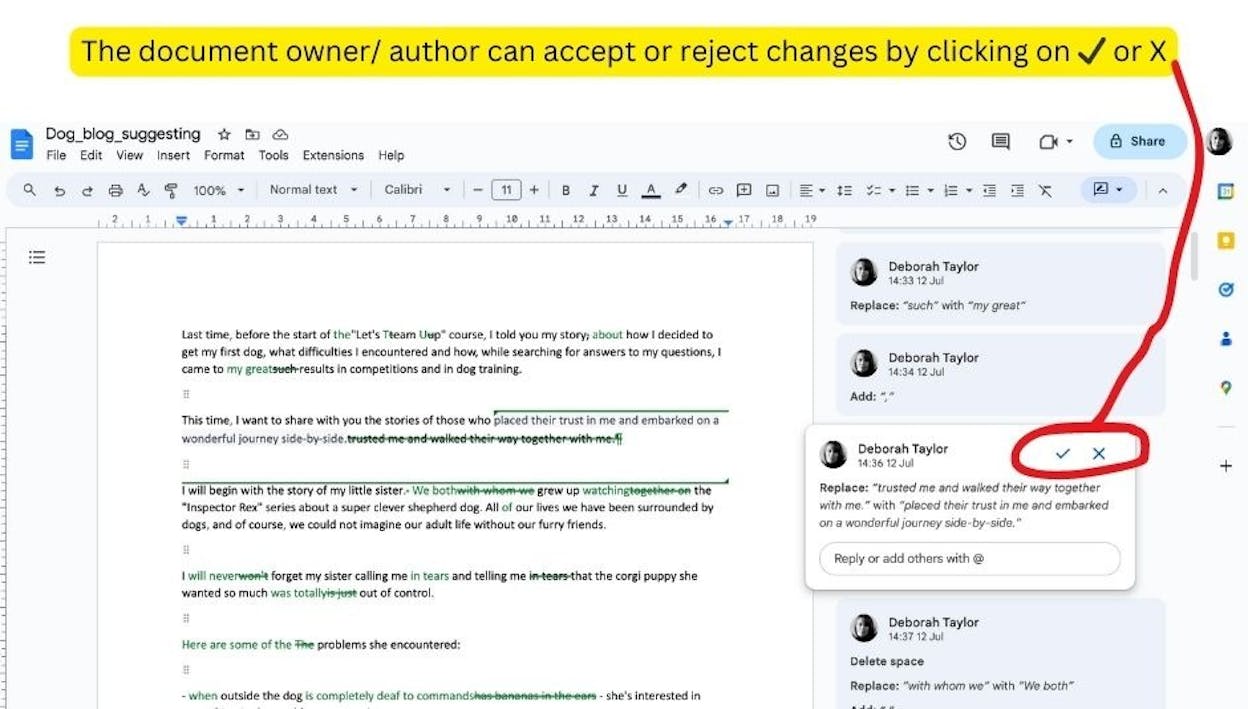 [Screenshot: A Google Doc with comments from a reviewer highlighting a factual error, a suggestion for a better example, and a note about a missing subtopic]