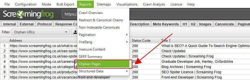 [Screenshot: Orphan pages report in a crawl tool showing pages with no incoming internal links]