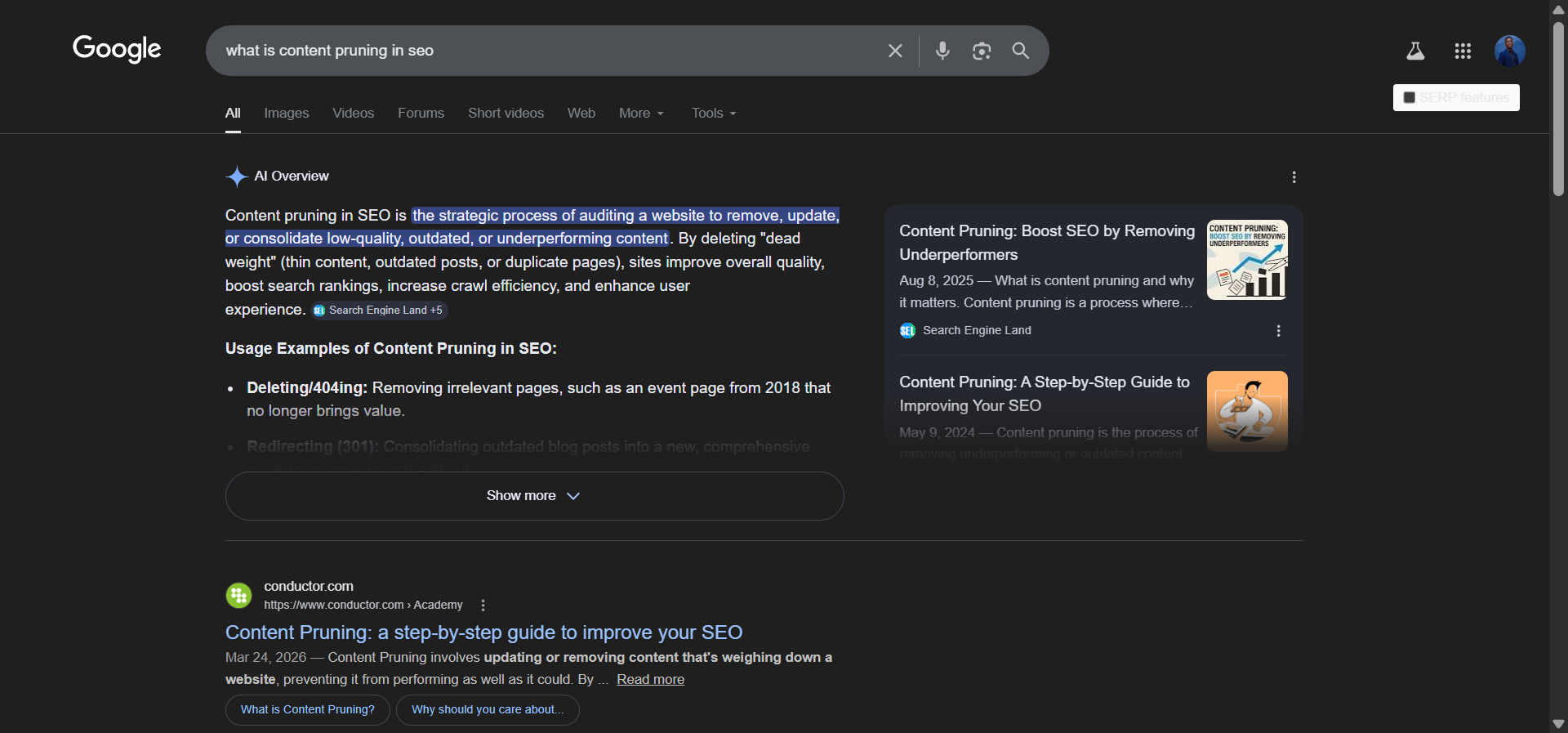 [Screenshot: Example of an AI Overview appearing above organic results for an informational query]