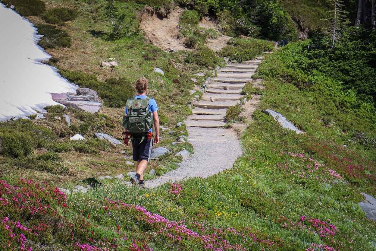 [Screenshot: &ldquo;Easy Hiking Trails&rdquo; cluster with AllTrails and Colorado.com results]