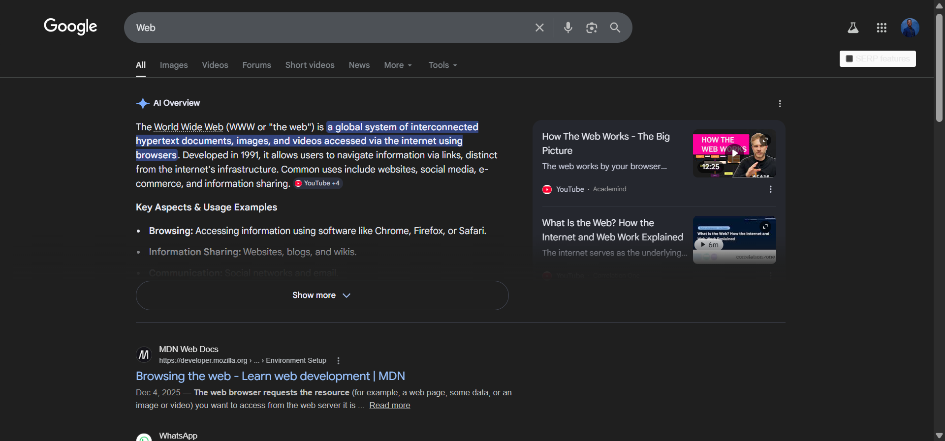[Screenshot: Google search results page showing the &ldquo;Web&rdquo; tab highlighted with an arrow, indicating where Web Guide results appear]