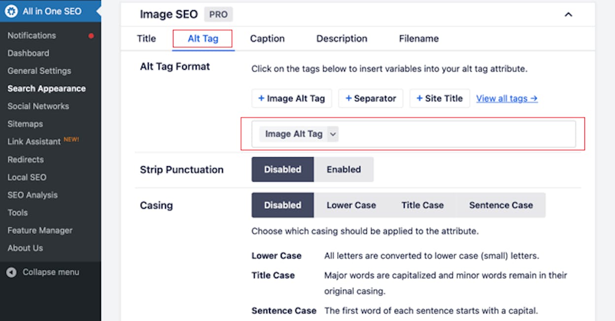 [Screenshot: Example of a well-named image file and descriptive alt text in your CMS. Show the alt text field filled in with a specific description.]