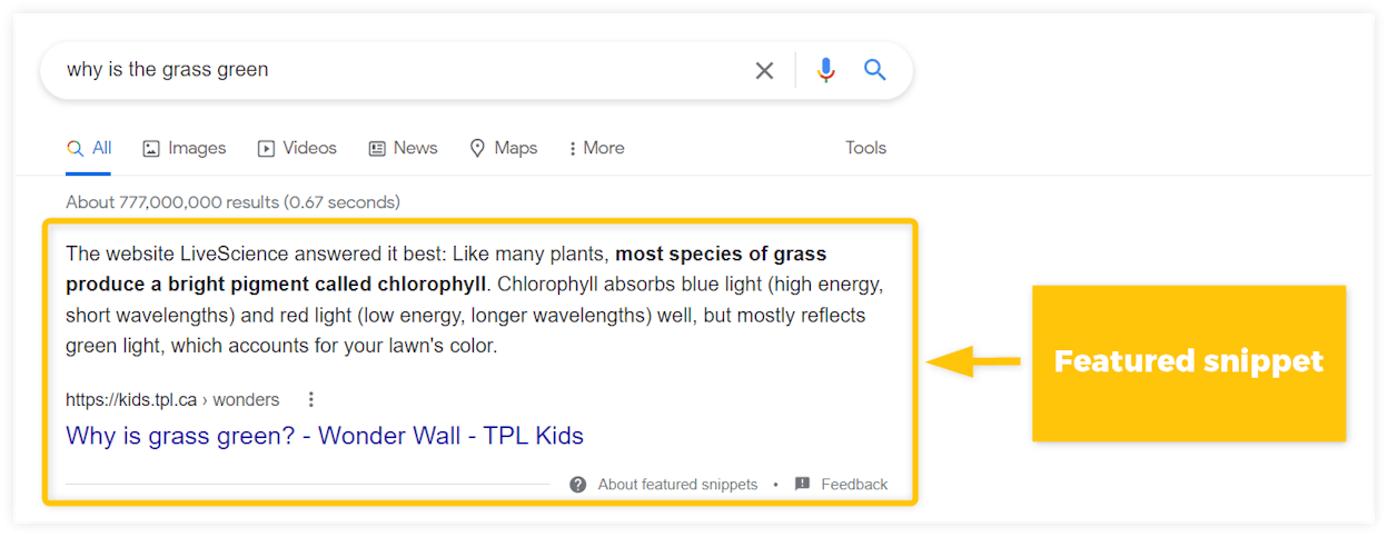 [Screenshot: Google a keyword that triggers a featured snippet. Note the format &mdash; is it a paragraph, list, or table? Match that format in your own content.]