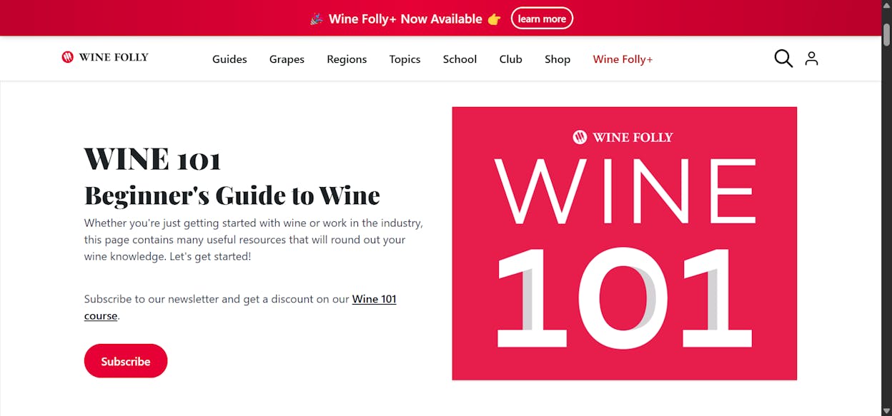 [Screenshot: Wine Folly&rsquo;s wine basics landing page showing the visual overview]