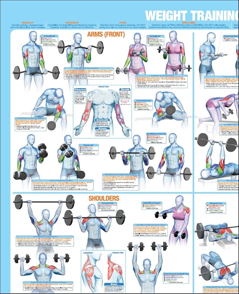 [Screenshot: Muscle and Strength&rsquo;s workout routines page showing the visual database layout with category filters]