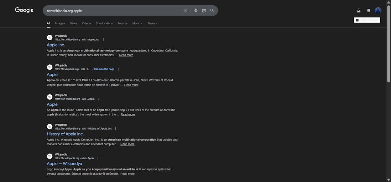[Screenshot of a Google search using the site:wikipedia.org operator to find brand mentions]