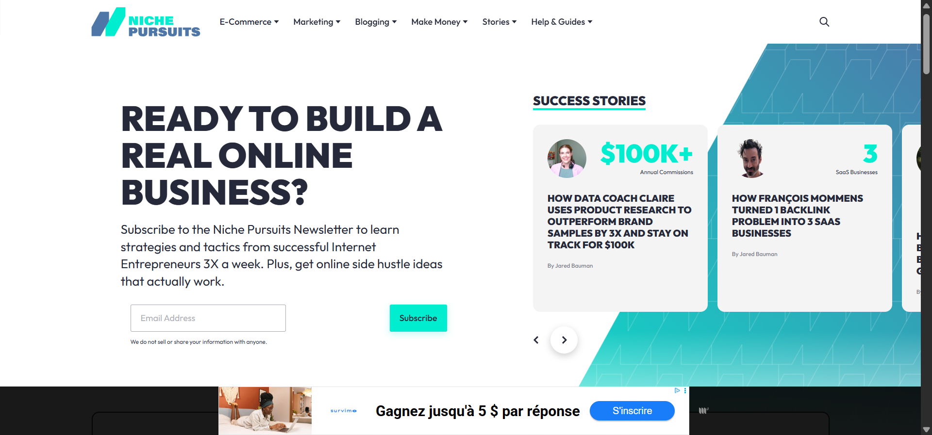 [Screenshot of the Niche Pursuits newsletter showing a case study]