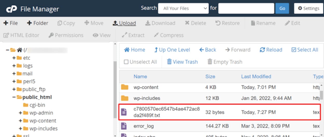 [Screenshot description: IndexNow settings panel showing API key field and the auto-submit toggle for indexable pages.]
