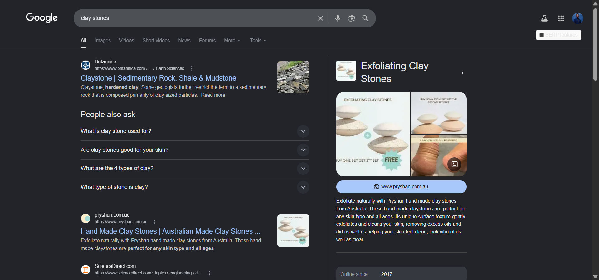 [Screenshot of Google SERP for &ldquo;clay stones&rdquo; showing gardening products like landscaping stones, with Pryshan&rsquo;s shop listing appearing out of context among them]