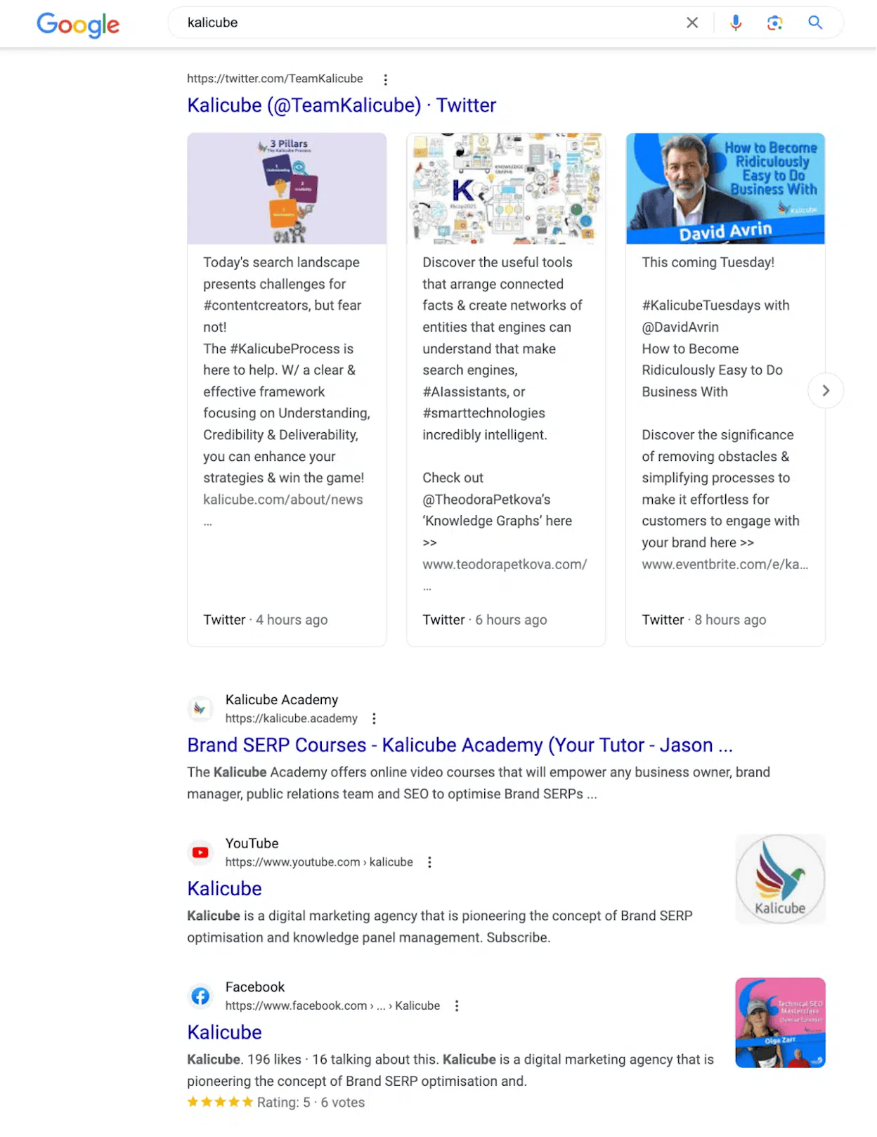 [Screenshot of a branded SERP where one company dominates all organic positions, knowledge panel, and sitelinks]