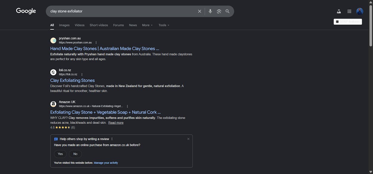 [Screenshot of Google SERP for &ldquo;clay stone exfoliator&rdquo; showing competitor products ranking alongside Pryshan&rsquo;s listings]