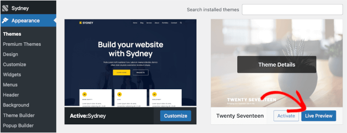 [Screenshot: WordPress Theme Customizer showing the left panel with color, typography, and layout options alongside a live preview]