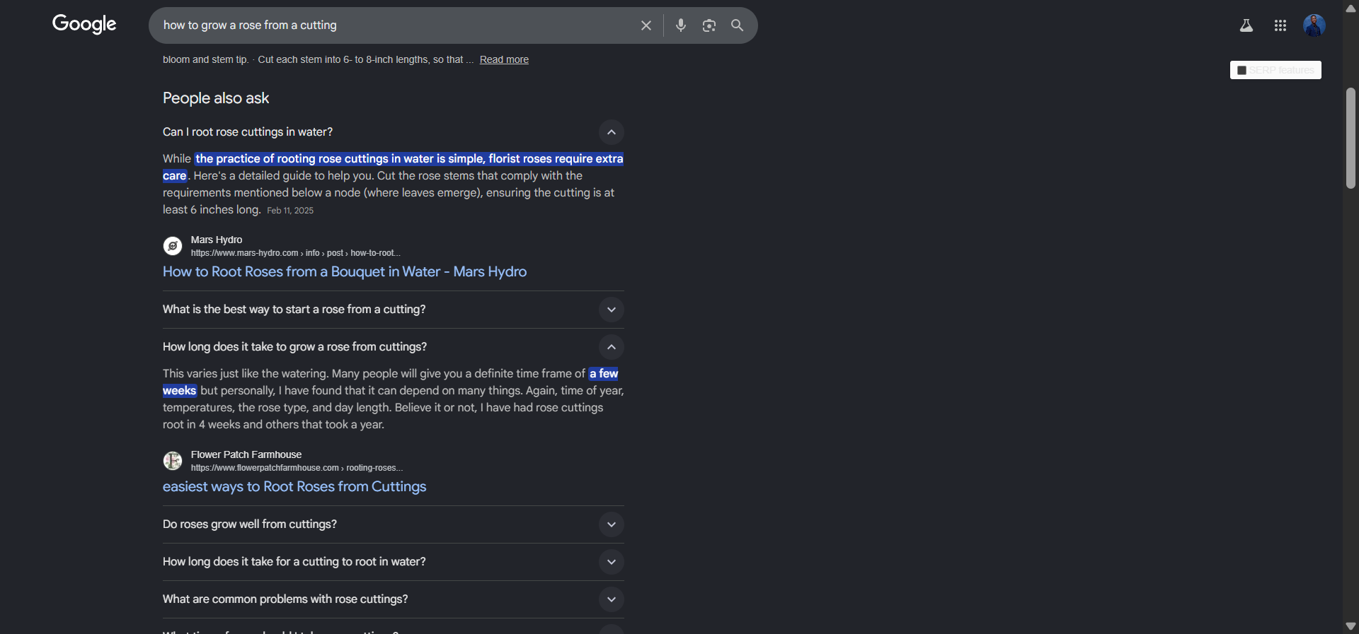Google&rsquo;s People Also Ask box for a query, showing four expandable questions