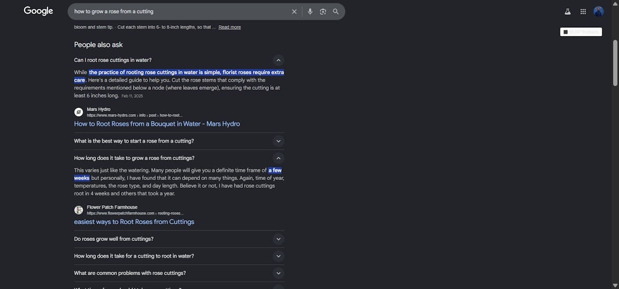 Google&rsquo;s People Also Ask box for a query, showing four expandable questions