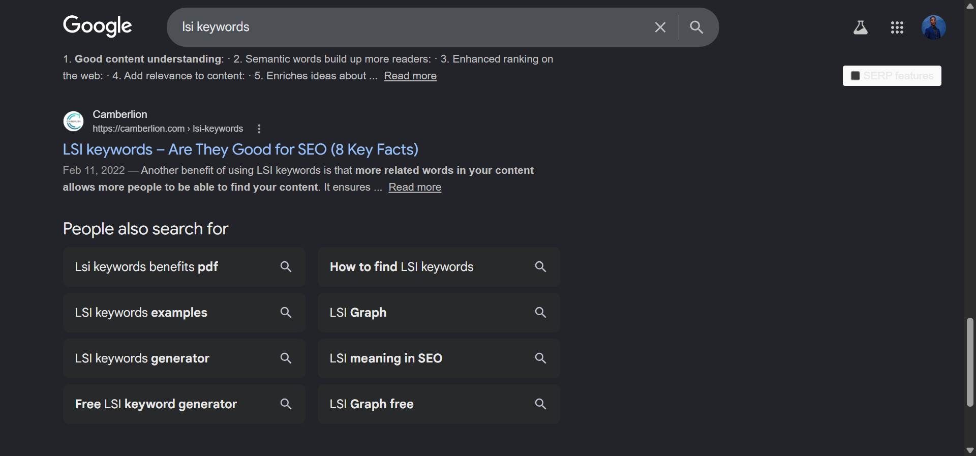 Google related searches block at the bottom of the SERP for &ldquo;lsi keywords&rdquo;