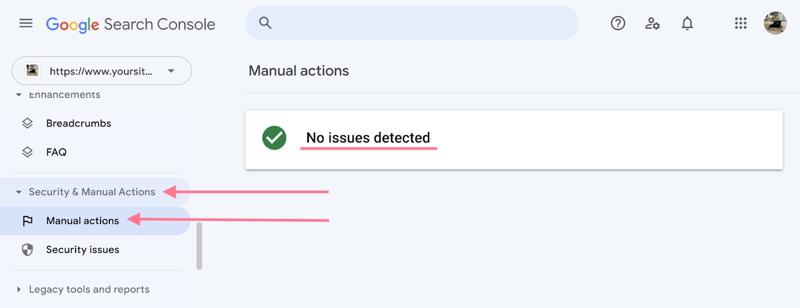 [Description of the screenshot to use: Google Search Console &ldquo;Manual Actions&rdquo; report showing the &ldquo;No issues detected&rdquo; green check, contrasted with a sample live action message]